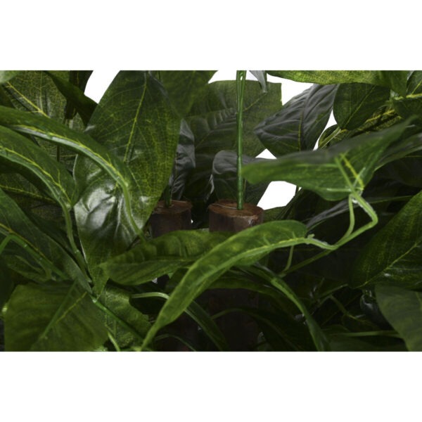 S3054268_1