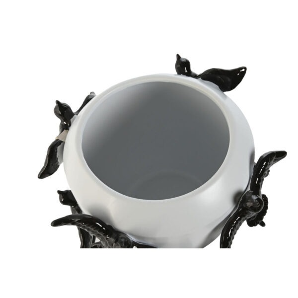 S3059181_1